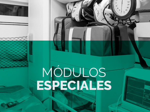 MODULOS-ESPECIALES-TSS Group